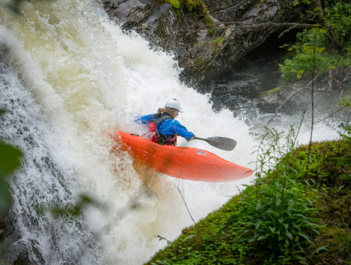 Angry Bunny kayaker